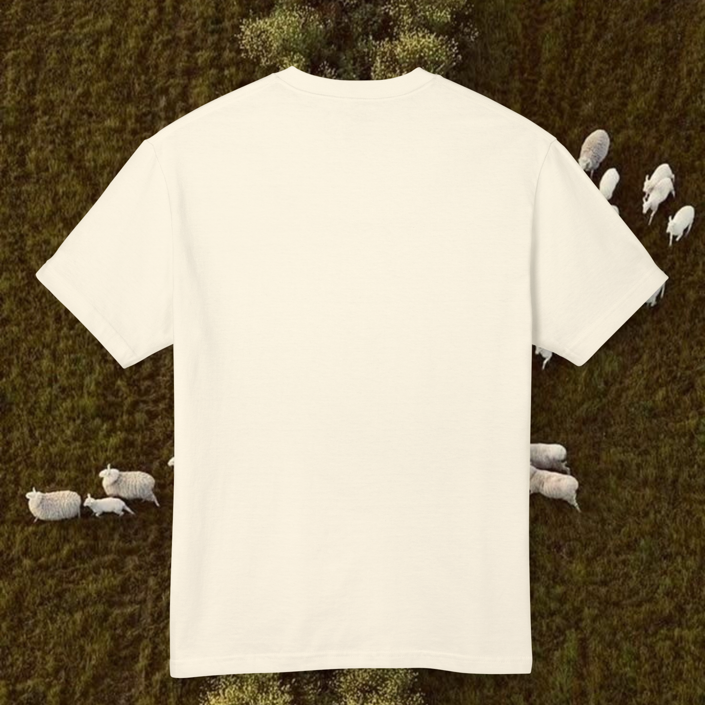 back view of a white cotton t-shirt on a nature background green with sheeps 